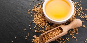 Yellow Mustard Oil