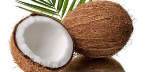 Semi Husked Coconuts