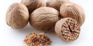 Nutmeg