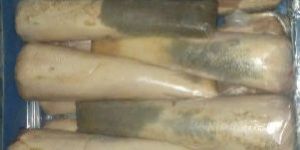 Frozen Buffalo Tongue