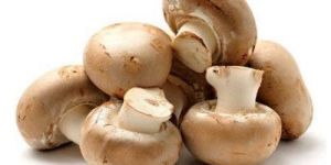 Fresh Button Mushroom