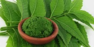 Neem Powder