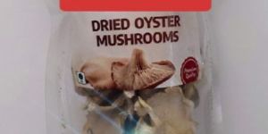 Dry Oyster Mushroom