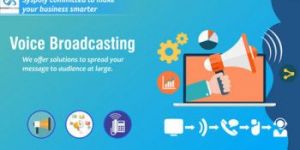 Voice Broadcasting Service