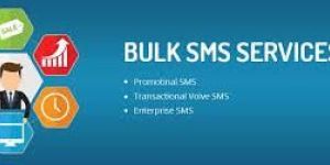 Bulk SMS Services
