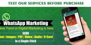 Whatsapp Marketing