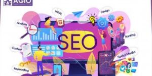 Search Engine Optimization Service