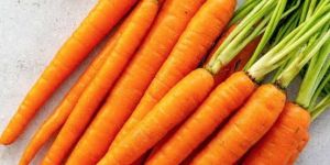 Carrots