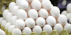 Poultry Eggs