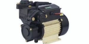 Self Regenerative Pump