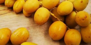 Fresh Dates