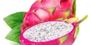 Fresh Dragon Fruit