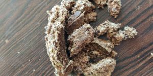 Cotton Seed Oil Cake