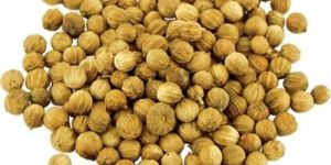 Coriander Seeds