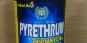 Pyrethrum 2% Extract