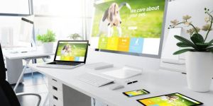 Website Designing Service