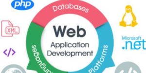 Dynamic Website Development