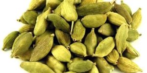 Cardamom