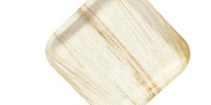 Envome Areca Palm Leaf Plate