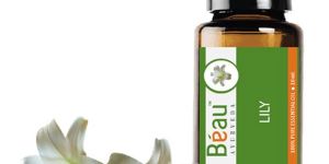 Lily Essential Oil