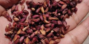 Dry Pomegranate Seed