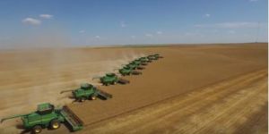 Farmer Blades