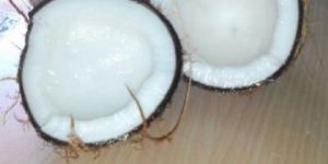 Fresh Coconut