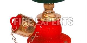 Fire Hydrant Valve