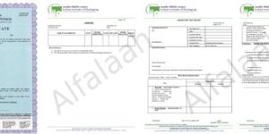 UN Certification Service