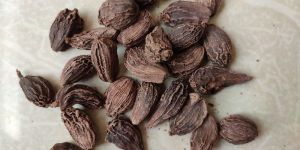 Black Cardamom