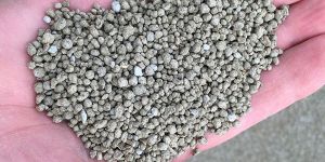 Organic Fertilizer