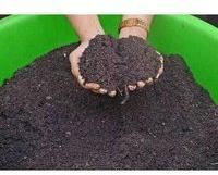 Phosphate Rich Organic Manure