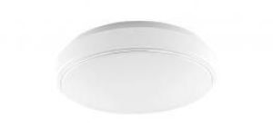 LED Ceiling Light