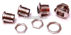 Brass Automobile Parts