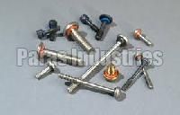 Brass Sealing Screws