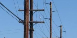 Utility Poles