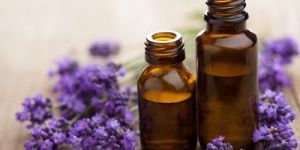 Lavender Essential Oil