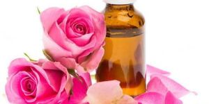 Rose Essential Oil