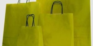 Eco Friendly Paper Bag