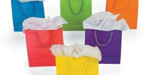 Paper Gift Bag