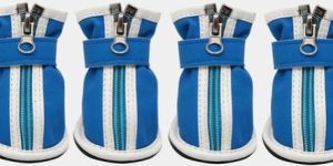 Dog Shoes