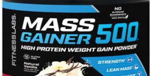 Mass Gainer