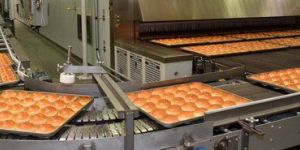 Bread Baking Plants