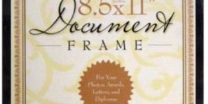 Wall Document Frame