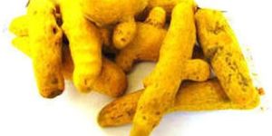 Double Polished Turmeric Finger