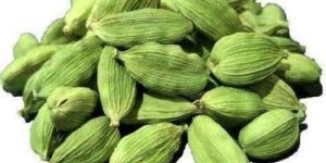 Green Cardamom