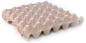 PAPER EGG TRAY