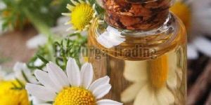 Chamomile Essential Oil