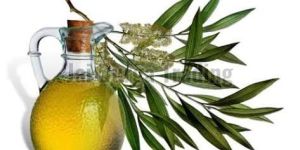 Tea Tree Oil