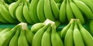 Fresh Green Banana